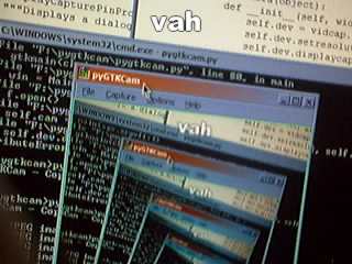 pyGTKCam running on Windows